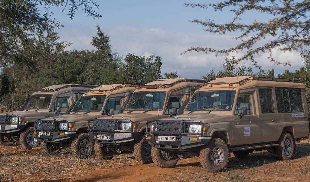 Safari Land Cruiser interior seating