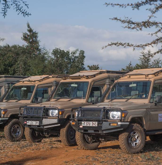 Game drive vehicle with guests watching wildlife