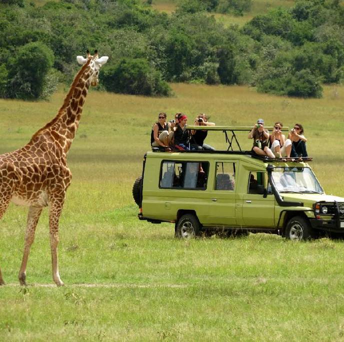 Tanzania Safari Agency 4x4 Land Cruiser on safari