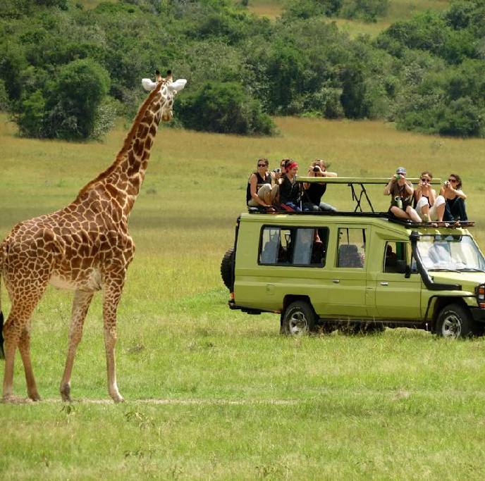 Guests on a game drive with Tanzania Safari Agency